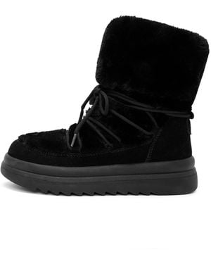 Derimod Ankle Boots - Schwarz