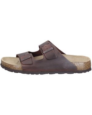 Dr. Brinkmann Pantolette Bonillo - Braun