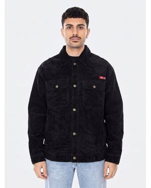 Dickies Übergangsjacke Oc X Flock - Blau