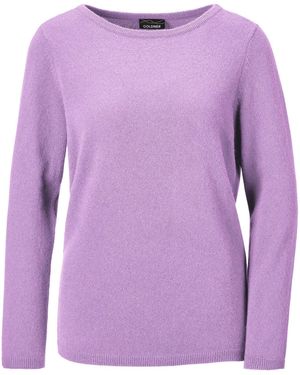 Goldner Pullover - Lila