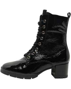 Högl Schnürstiefelette Livia - Schwarz
