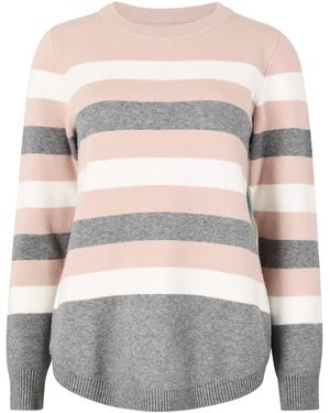 Apricot Colour Block Stripe Jumper - Grau