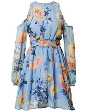 Oasis Kleid - Blau