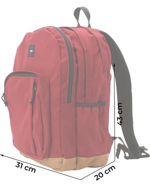 Vans Rucksack Old Skool - Pink