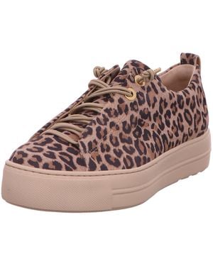 Paul Green Schnürschuh Sneaker Damen 5317-047 Rauleder - Pink