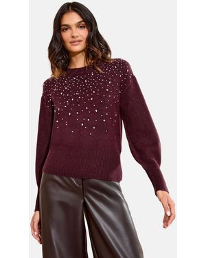 Friends Like These Pullover - Rot