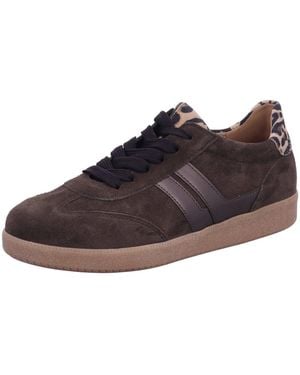 Gabor Sneaker Low Schnürschuh Damen 73.300 18 Echtleder - Braun