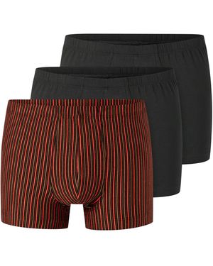 Schiesser Boxershorts 95/5 Essentials - Rot