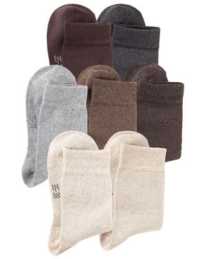 Lavan Basicsocken - Mehrfarbig