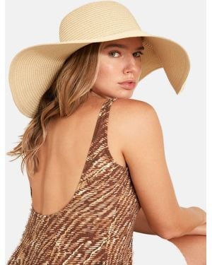 C&City Hut - Braun