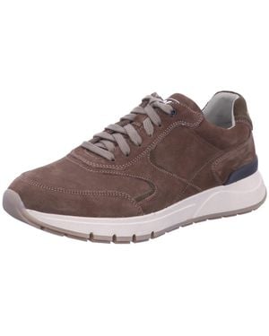 Gabor Sneaker Low Sneaker Low Herren 1066.10 01 Nubukleder - Braun
