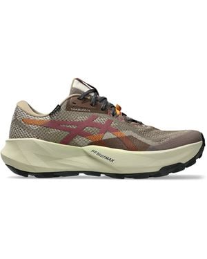 Asics Laufschuh Trabuco 14 - Grau