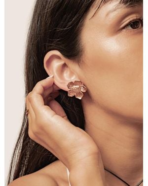 Hey Happiness Ohrringe Daisy Flower Stud - Schwarz