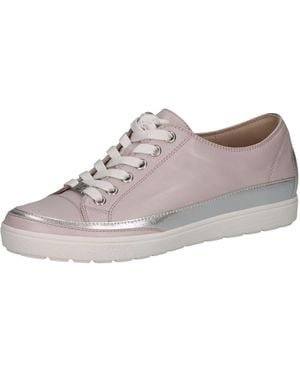 Caprice Sneaker - Grau