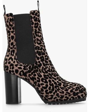 Daniel Thea Leopard Suede High Block Heel Platform Chelsea Boots - Black
