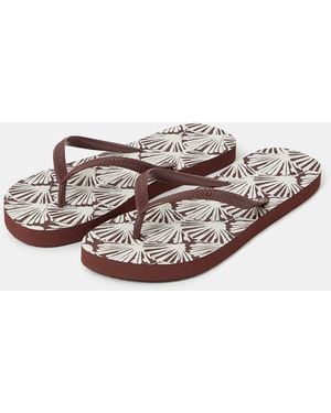 Accessorize Shell Print Flip Flops - Brown