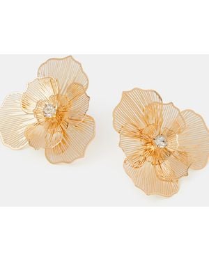 Accessorize Filigree Flower Stud Earrings - Natural