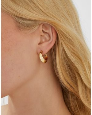 Accessorize Small Chunky Hoop Earrings - Brown