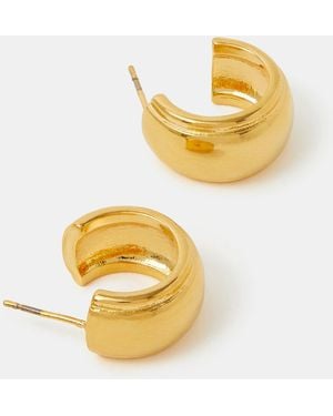 Accessorize Stainless Steel Mini Chunky Hoop Earrings - Metallic