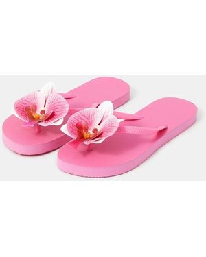 Accessorize Orchid Flip Flops - Pink