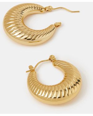 Accessorize Stainless Steel Chunky Ridge Hoop Earrings - Metallic