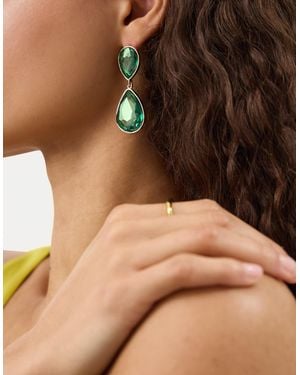 Accessorize Double Gem Teardrop Earrings - Brown