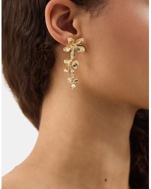 Accessorize Flower Drop Earrings - Brown