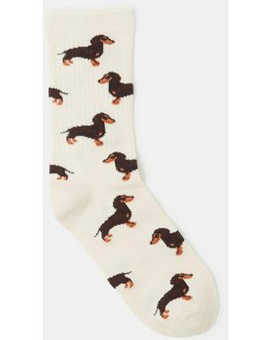 Accessorize Sausage Dog Print Socks - White