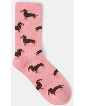 Accessorize Sausage Dog Print Socks - Pink