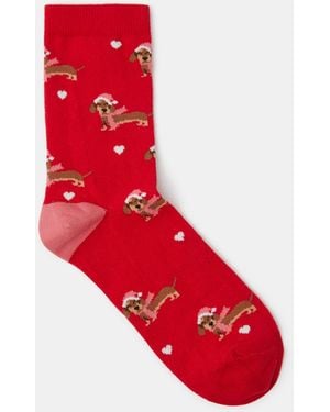 Accessorize Christmas Sausage Dog Socks - Red
