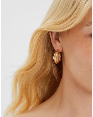 Accessorize Chunky Ridged Hoop Earrings - Brown