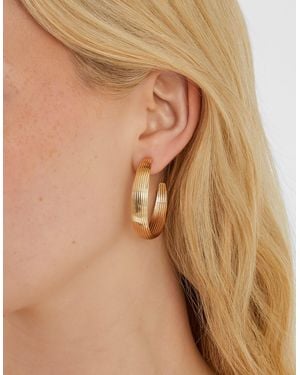 Accessorize Ribbed Hoop Earrings - Brown