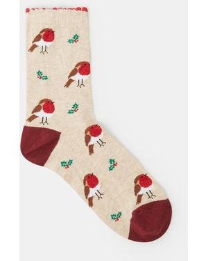 Accessorize Christmas Robin Socks - White