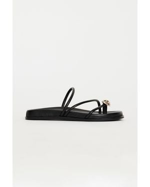 Acler Boyd Sandal - Black