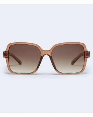 Aéropostale Translucent Square Sunglasses - Brown