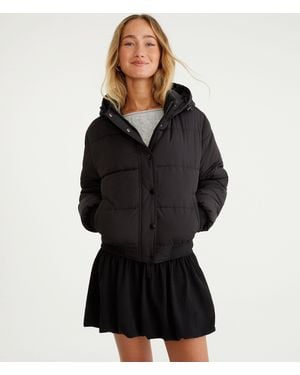 Aéropostale Midweight Hooded Puffer Jacket - Black