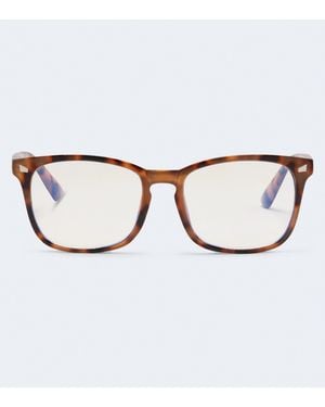 Aéropostale Tortoiseshell Waymax Light Glasses - Brown