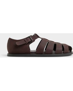 ALDO Wildhaven - Brown