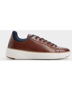 ALDO Pederson – – - Brown