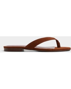 ALDO Talula – – - Brown