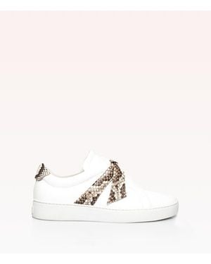 Old-Core Clarita Sneaker Jungle Python - Natural