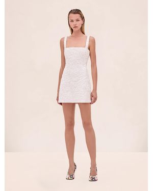 Alexis Rosabel Dress - Pink