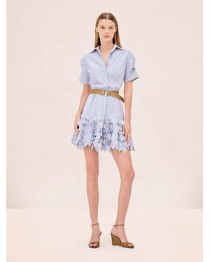Alexis Ema Dress - Natural