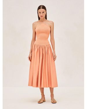 Alexis Kamali Dress - Pink
