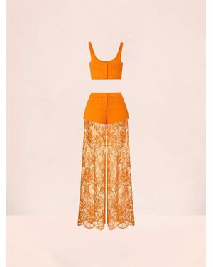 Alexis Corelle Pant - Orange