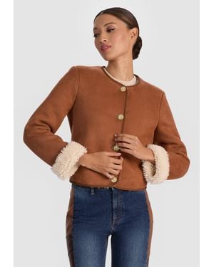 Alice + Olivia Alma Vegan Suede Teddy Jacket - Brown