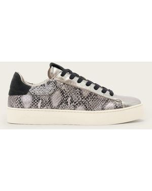 AllSaints Shana Snake Print Low Top Leather Trainers - Natural