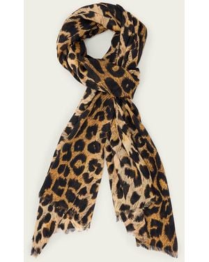 AllSaints Leia Leopard Print Cotton Scarf - Natural