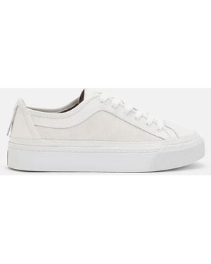 AllSaints Milla Suede Lace Up Trainers,, Chalk - White