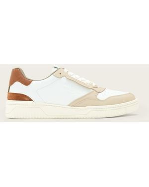 AllSaints Leather Regan Low Top Trainers, /Us 8/Eu 41 - Natural
